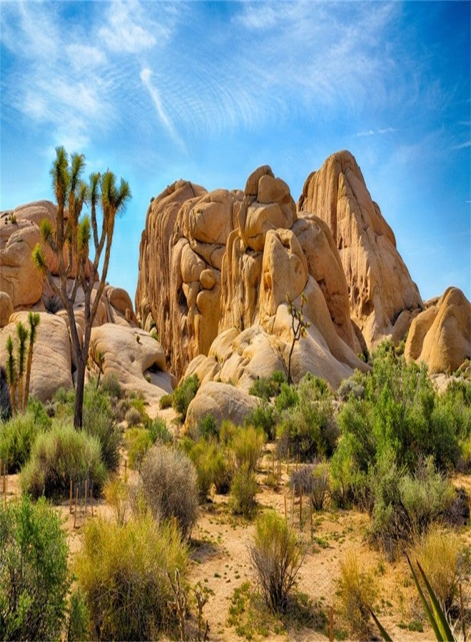 CSFOTO Polyester 36X14 Inches Joshua Tree National Park Backdrop Arid Barren Cactus Sandstone Rock Climate Mountain and Desert Scenery Backdrop Desert Terrarium Background - Image 1